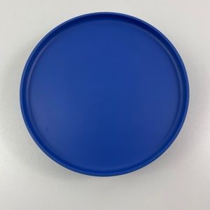 Set of FOUR West Elm Aaron Probyn Dinner Plates Melamine 8” Landscape Blue